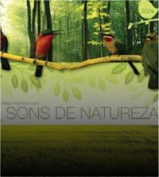 As mais belas músicas com sons de natureza